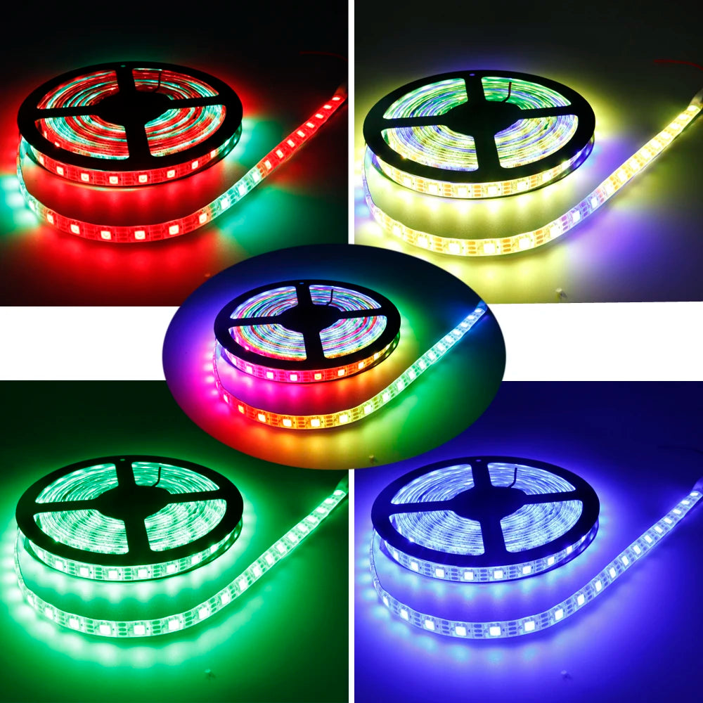 WS2812B Fully Addressable Led Strip Lights